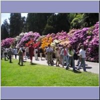 pfingsten2004 080.jpg